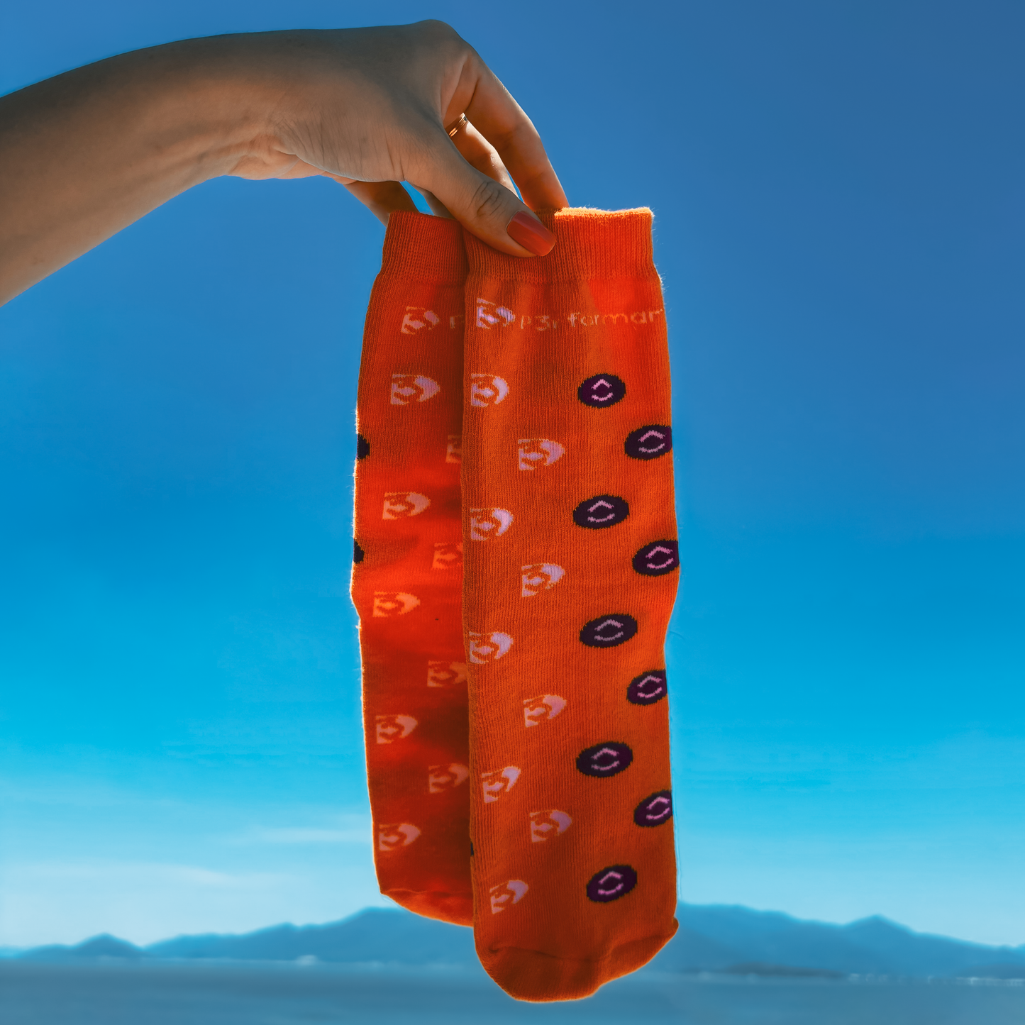 Meia P3rformar e ClickUp